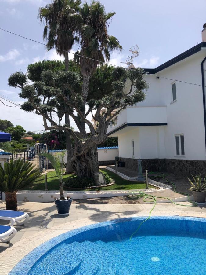 Villa Ludo A Zambrone Tropea Exterior foto